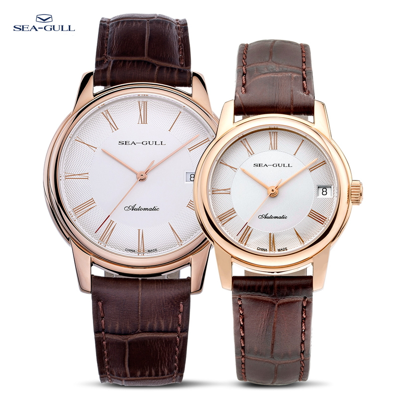 Hải Âu Cơ Nam Dây Kiểu Dáng Tố - đánh giá và giá Omega Watch Constellation